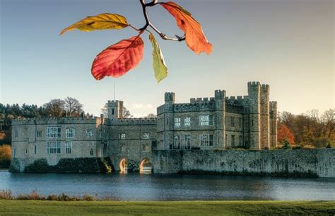 leeds castle tripadvisor